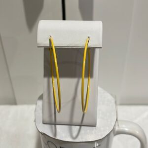 NWOT Metal hoop earrings